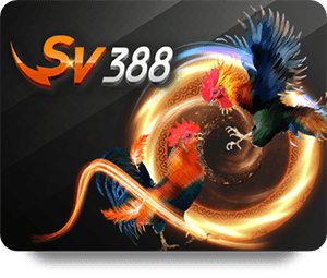 The Future of Slot Game Technology: What to Expect Next